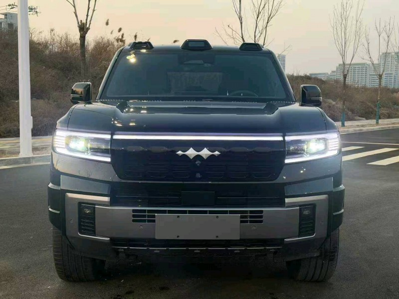 石家庄25年比亚迪方程豹1