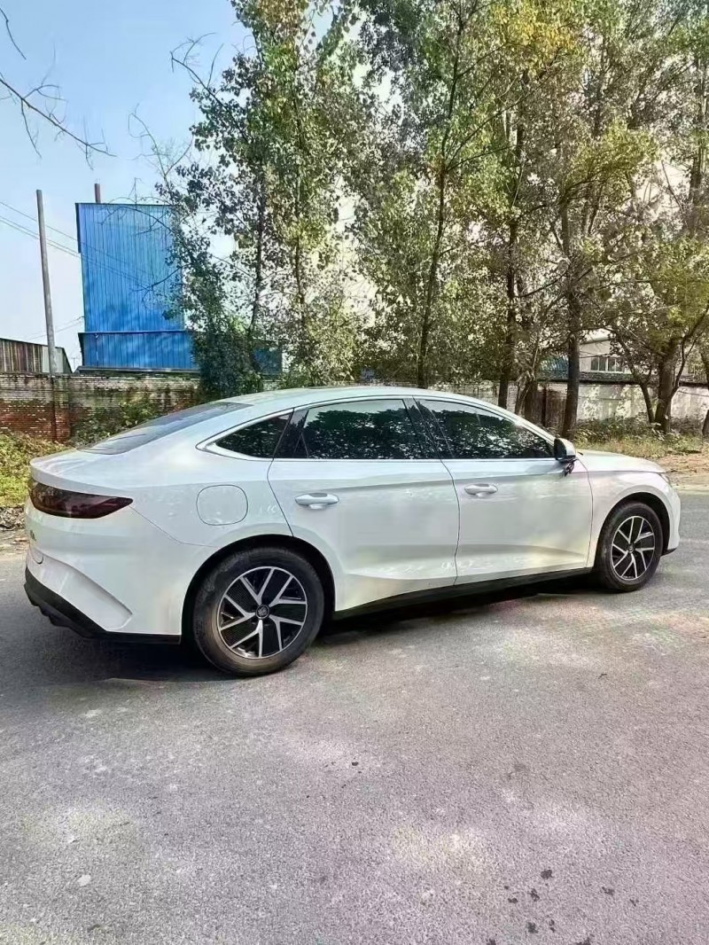 菏泽25年比亚迪秦8