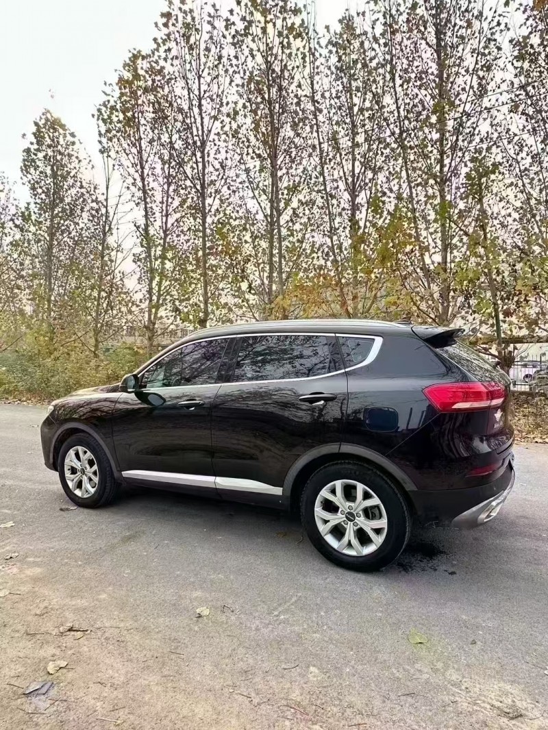 菏泽20年哈弗H67