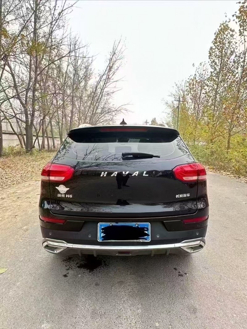 菏泽20年哈弗H69