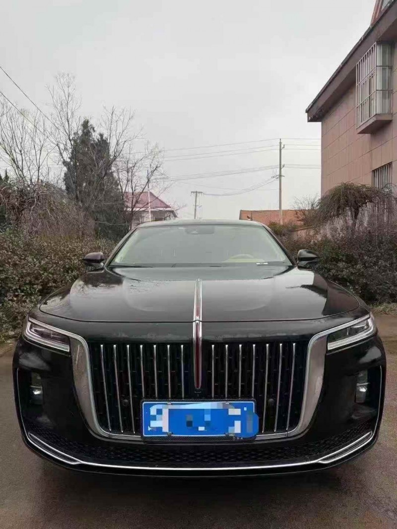 潍坊24年红旗H91