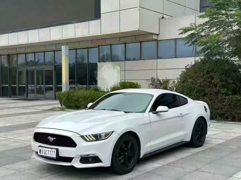 济宁16年福特野马1