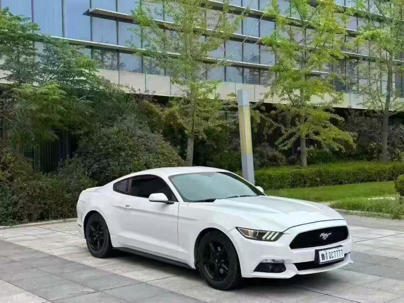 济宁16年福特野马2