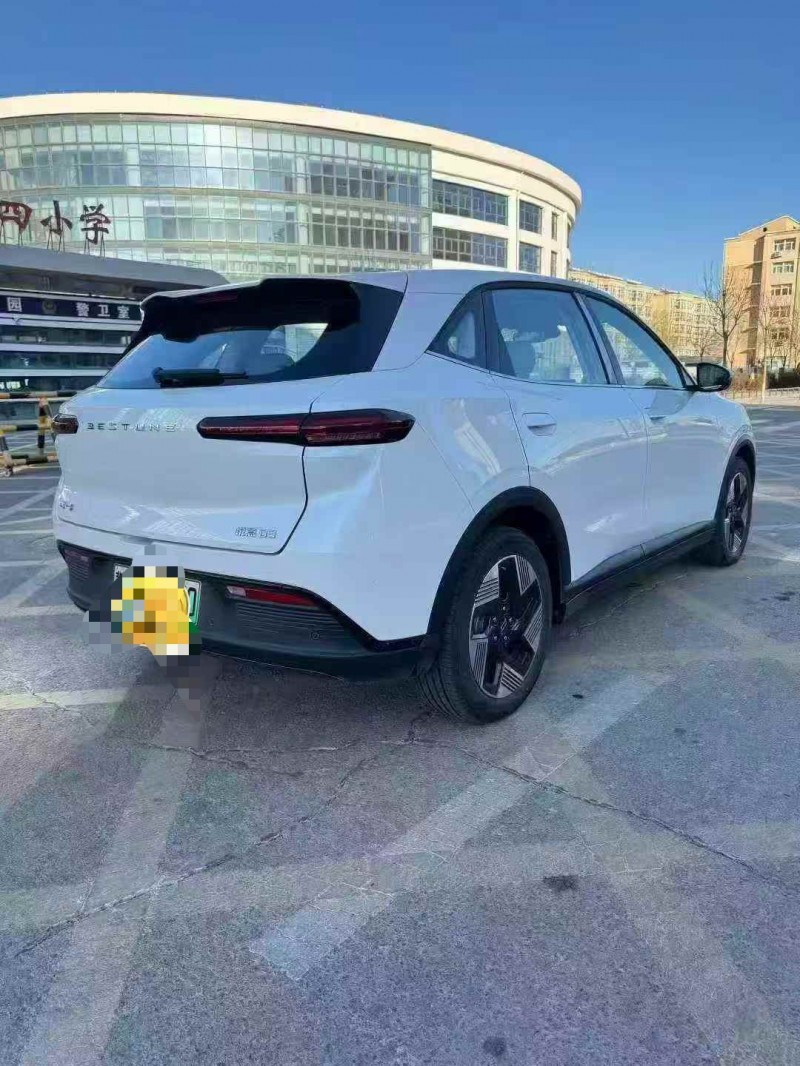 张家口25年奔腾悦意8