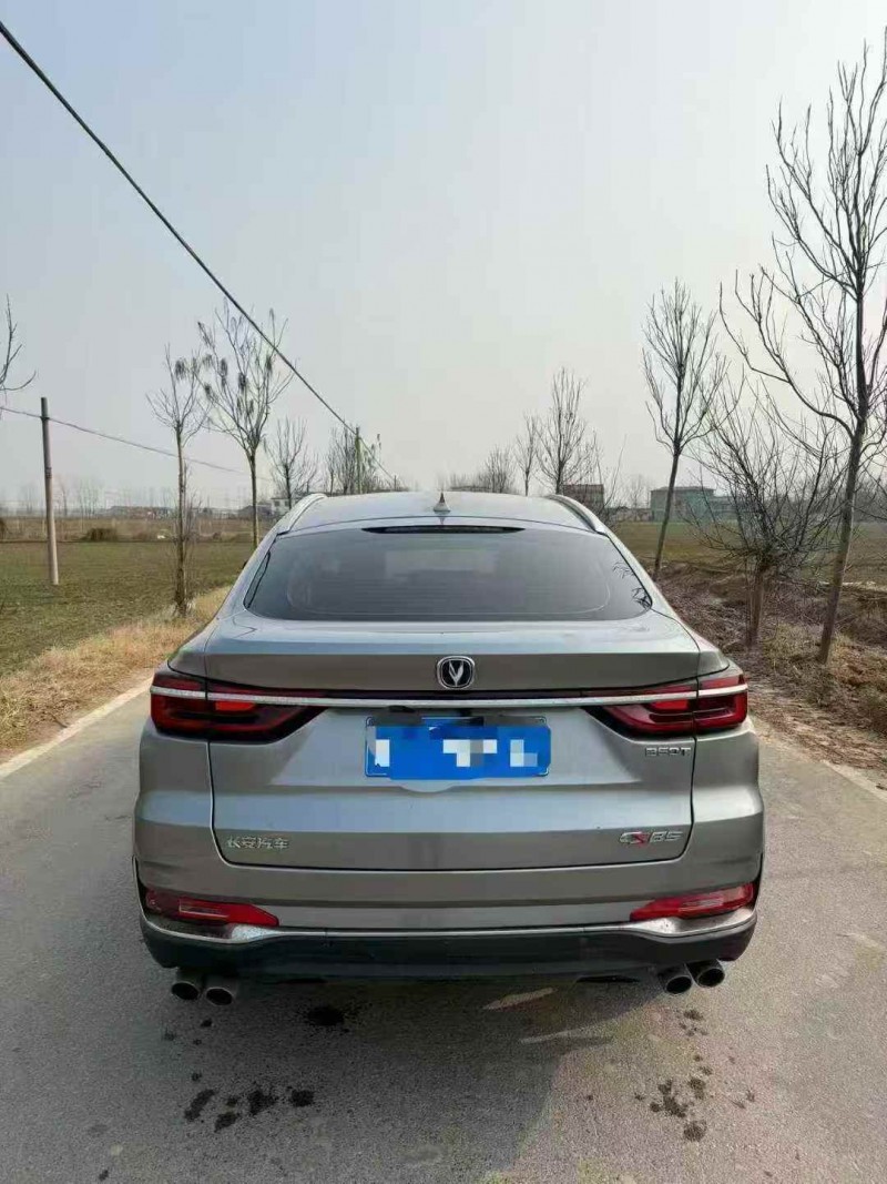 淄博20年长安汽车CS859