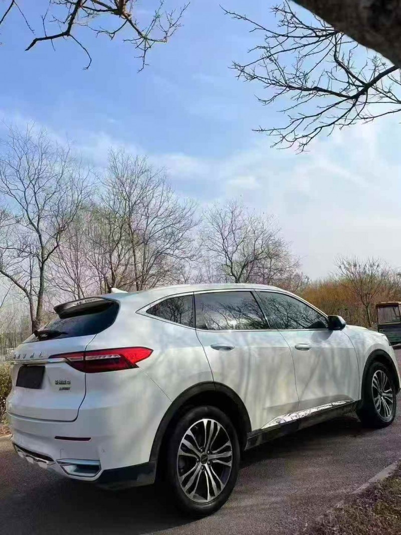 潍坊20年哈弗F78