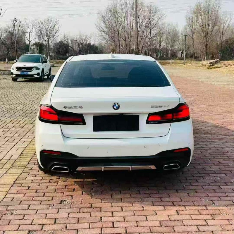 枣庄22年宝马5系9