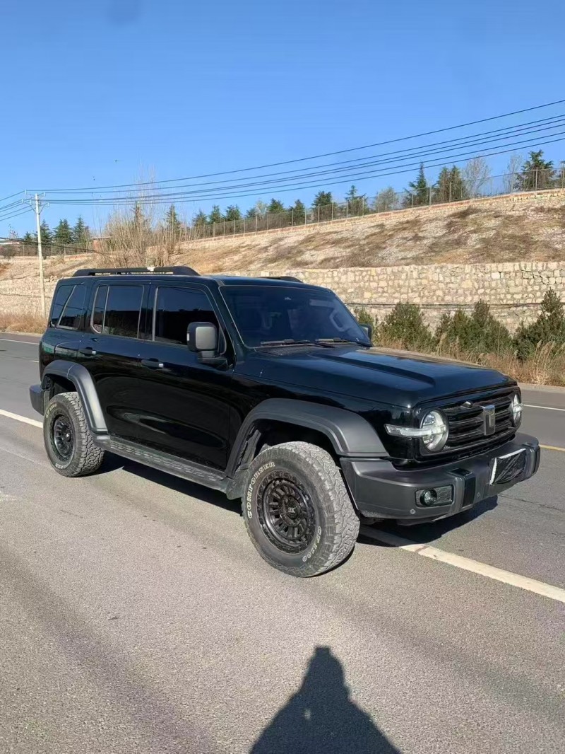 邯郸22年长城汽车坦克2