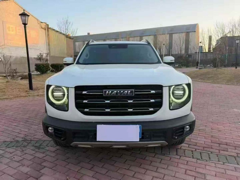 平顶山21年哈弗大狗1