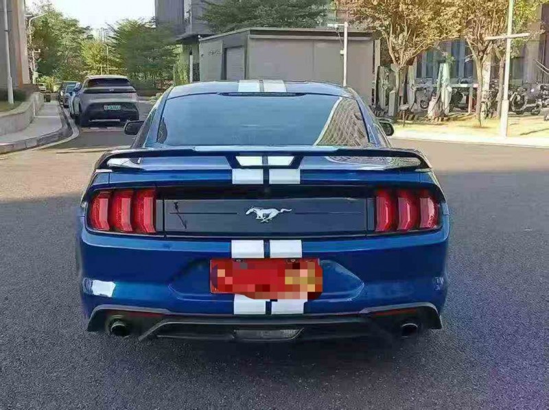 广州20年福特野马9