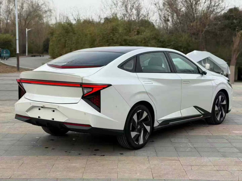 菏泽25年本田灵悉8