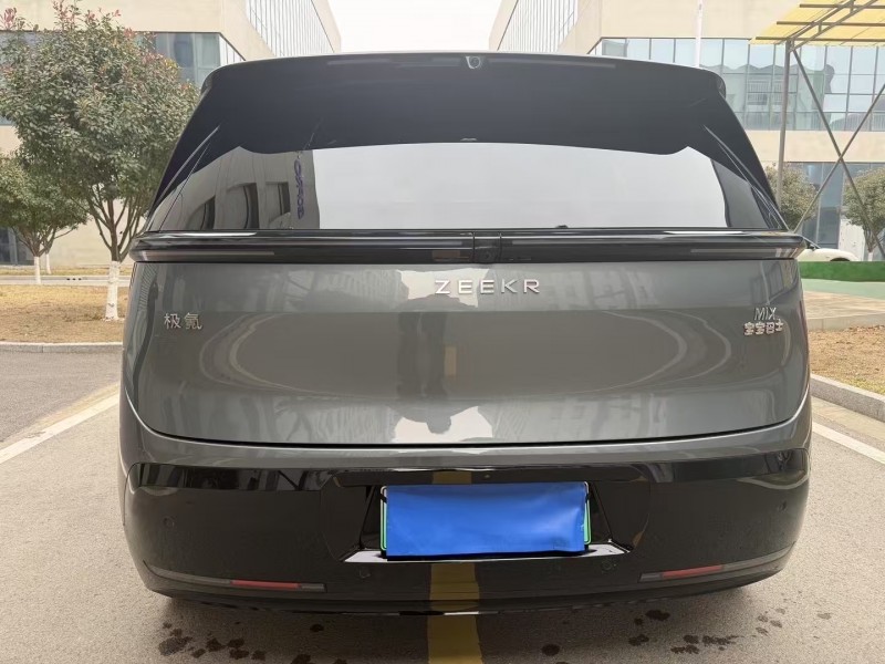 徐州24年极氪汽车MIX9