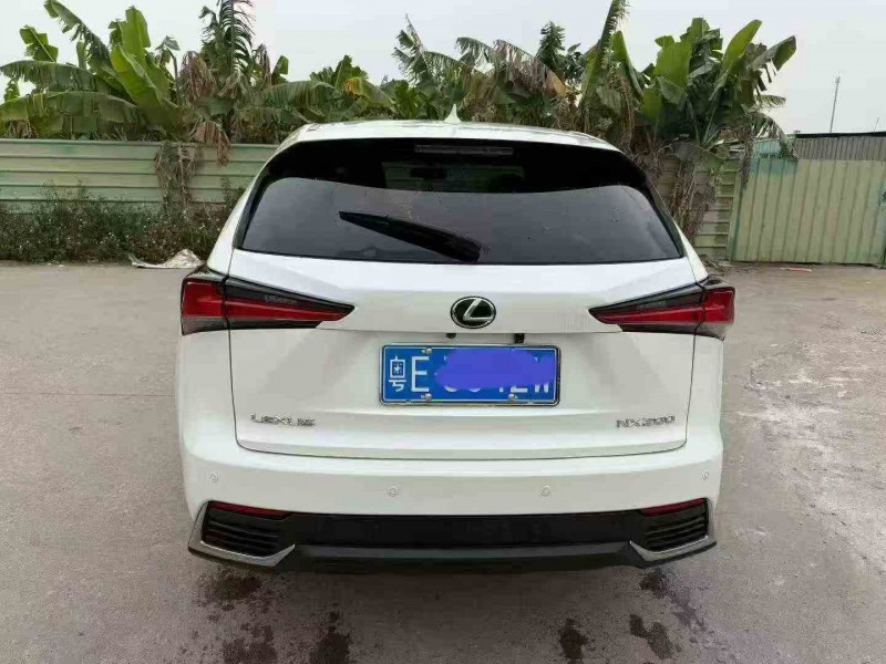 佛山18年雷克萨斯NX9