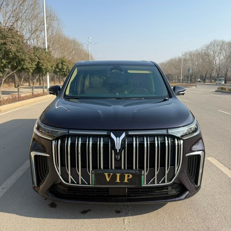 枣庄24年岚图汽车梦想家1