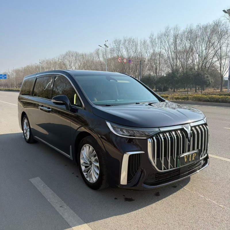 枣庄24年岚图汽车梦想家2