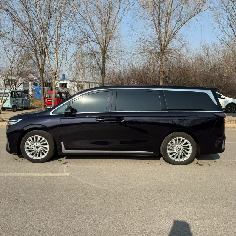 枣庄24年岚图汽车梦想家7