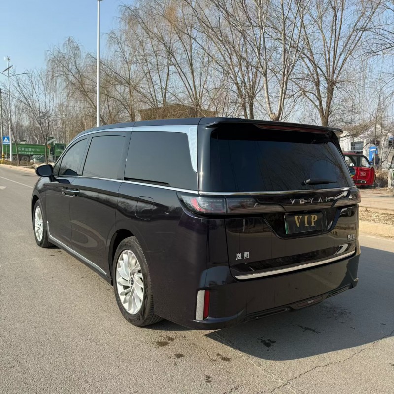 枣庄24年岚图汽车梦想家8