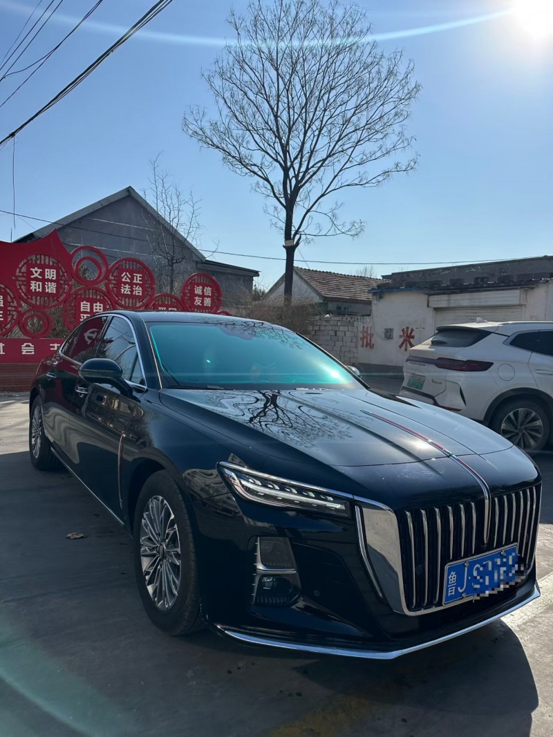 泰安24年红旗H53