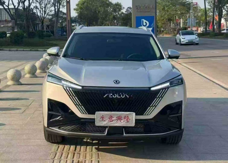 江门24年东风风神1