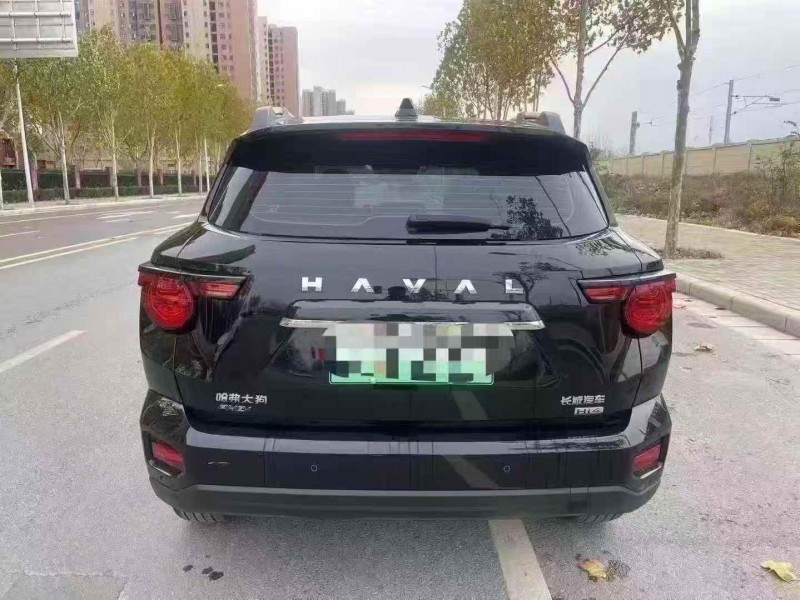 新乡24年哈弗大狗9