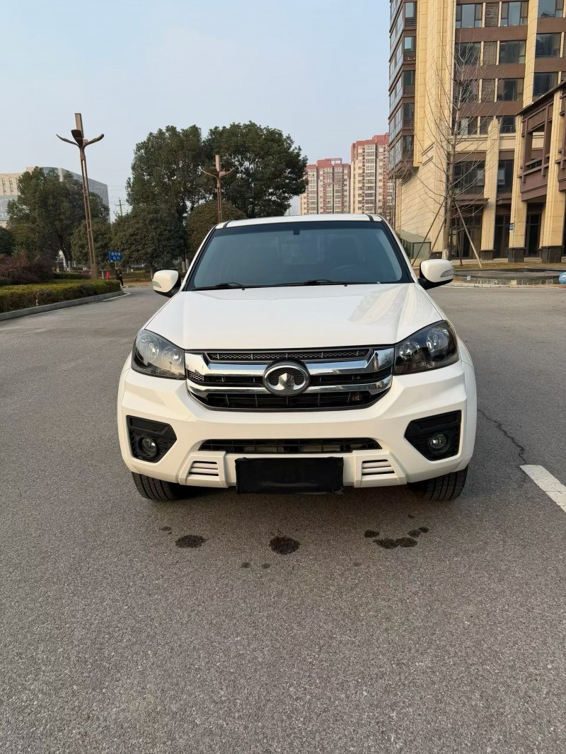 南阳23年长城汽车风骏1