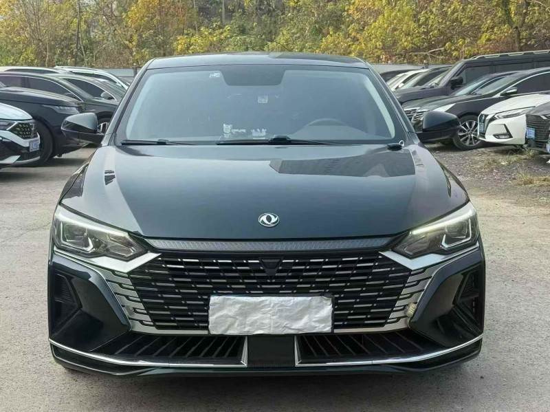 张家界24年东风风神1