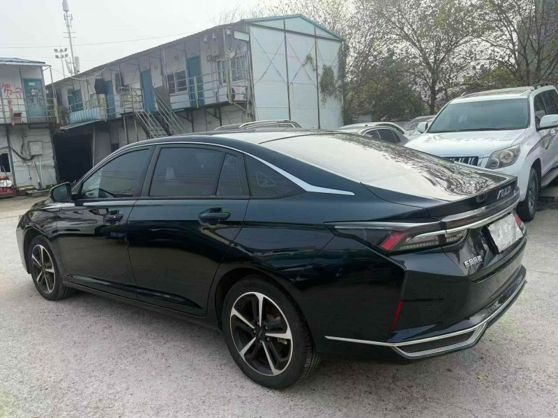 张家界24年东风风神8