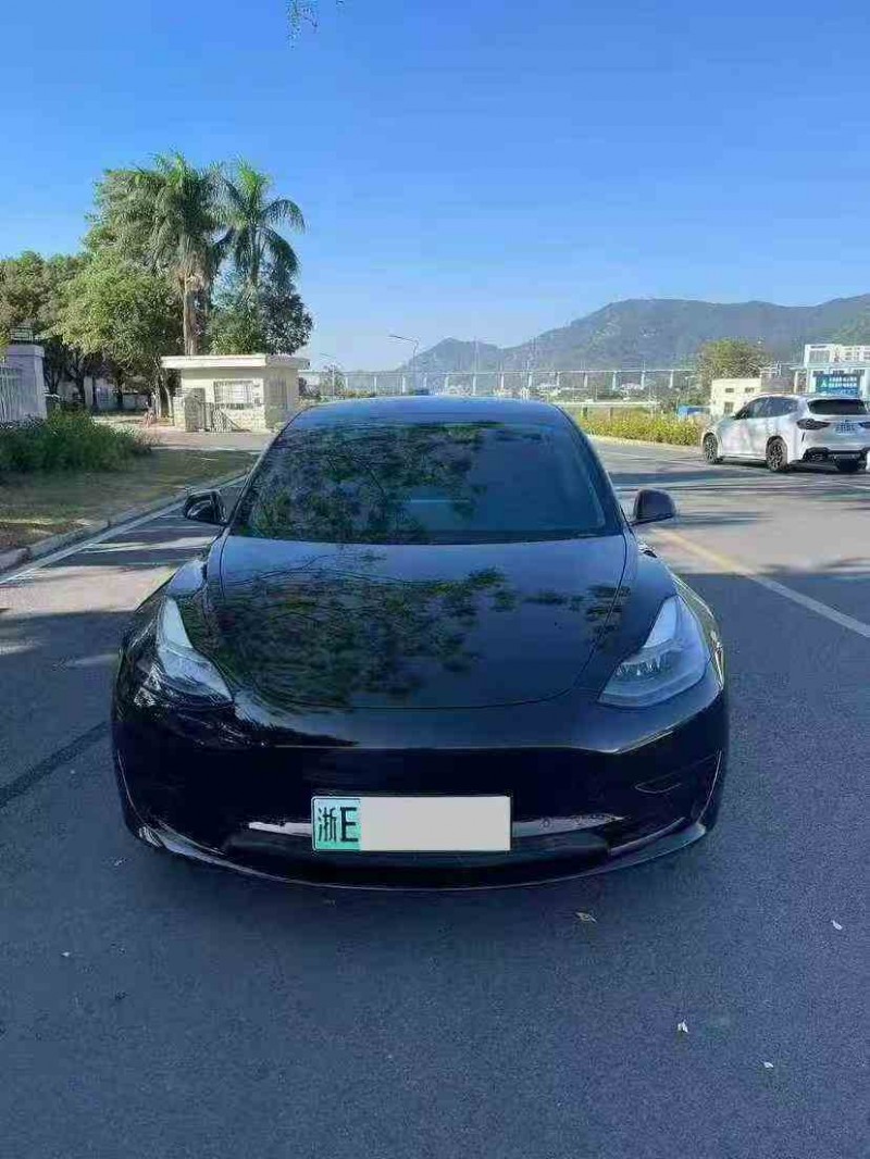 珠海21年特斯拉MODEL 31
