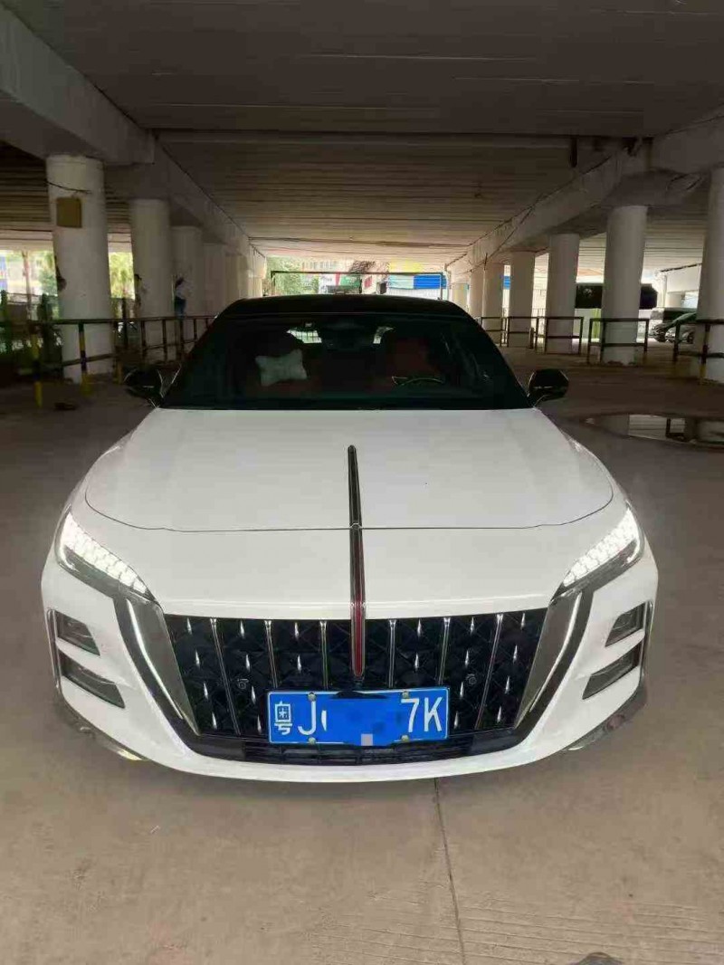 湛江23年红旗H61