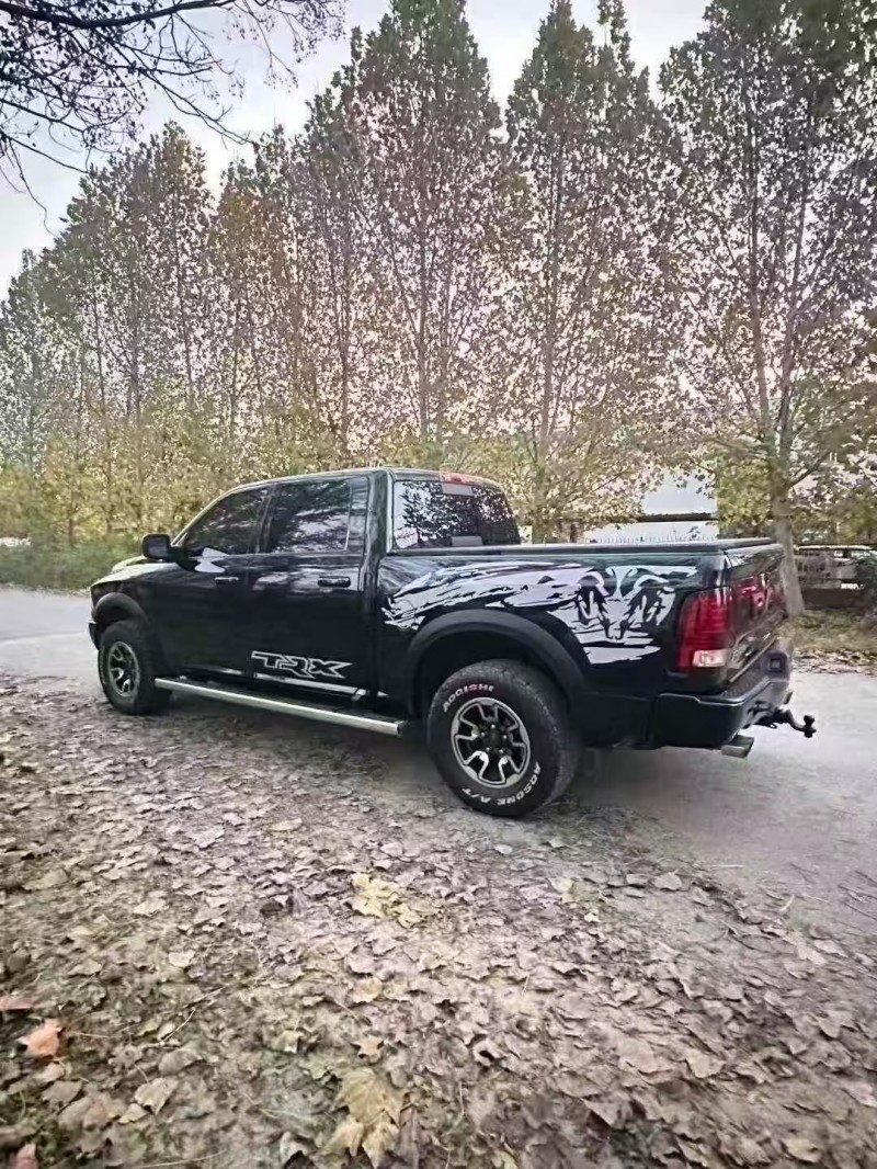 菏泽18年道奇叛逆者7