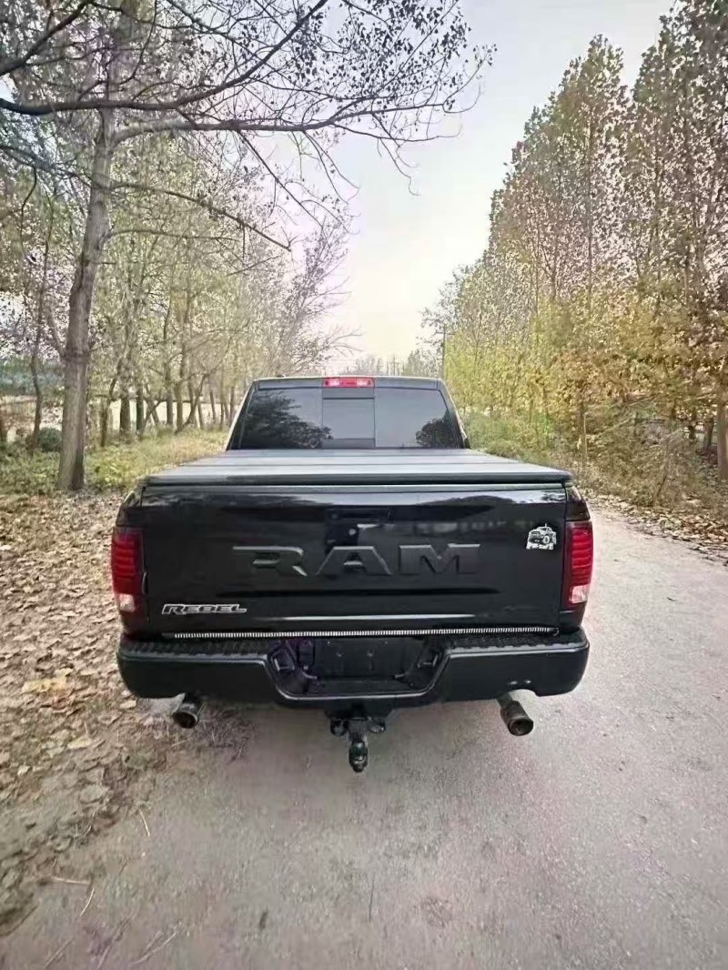 菏泽18年道奇叛逆者9