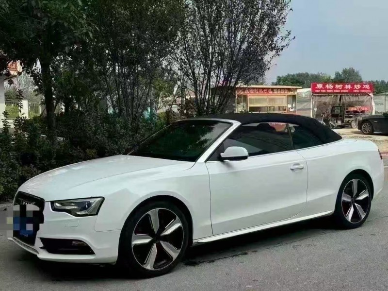 菏泽13年奥迪A52