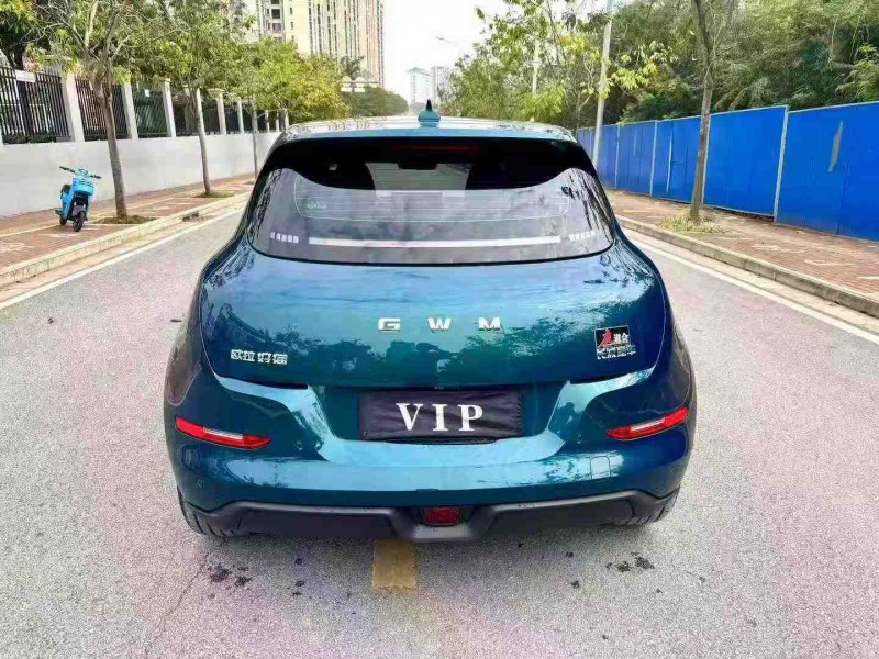 南宁25年长城汽车欧拉9