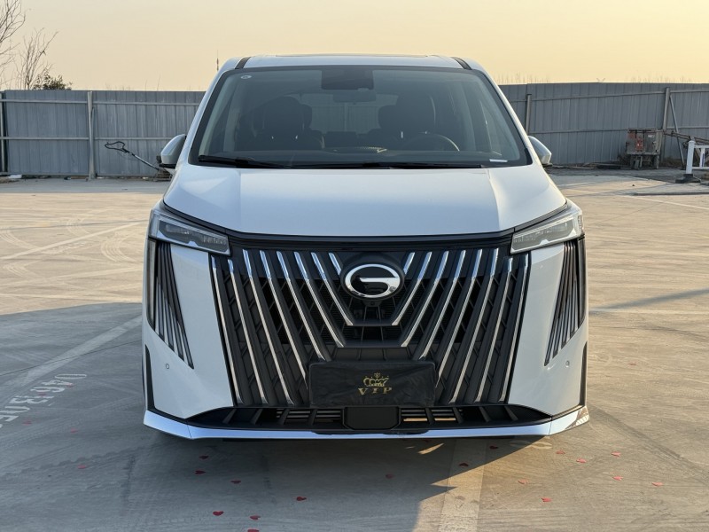 新乡25年传祺M8/GM81