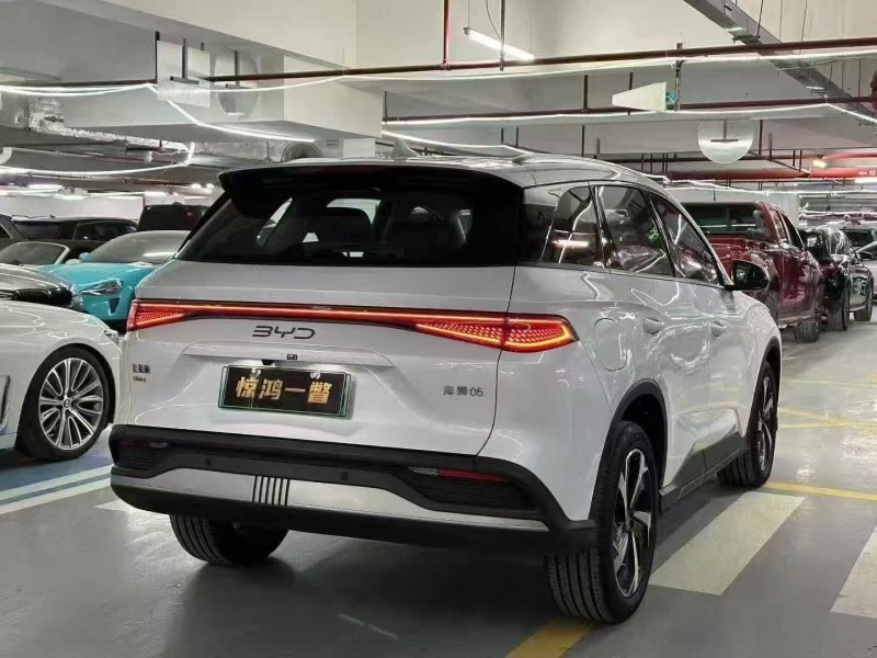 深圳25年比亚迪海狮8