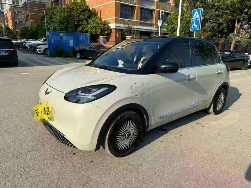 南宁25年五菱汽车缤果3