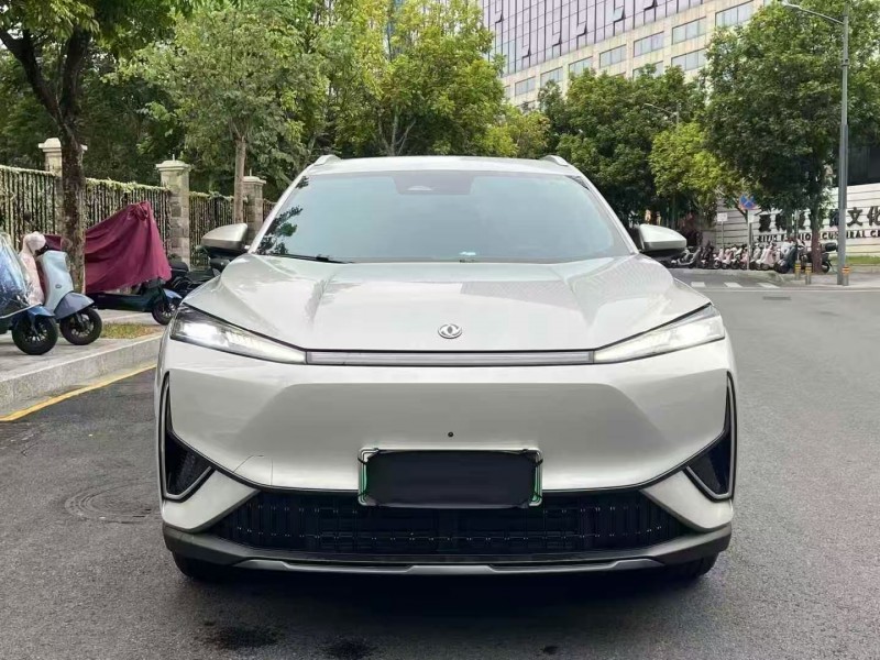 深圳25年东风风神1