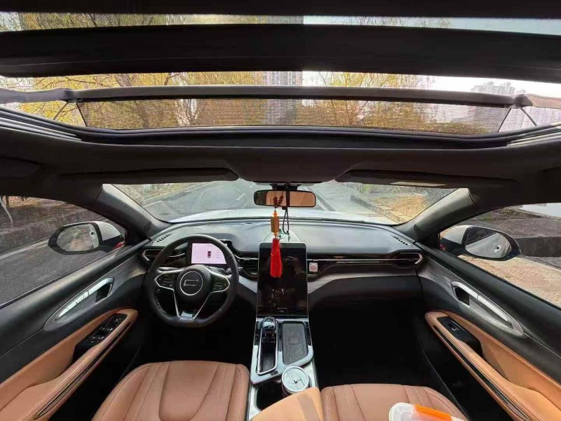 常德25年奔腾T905