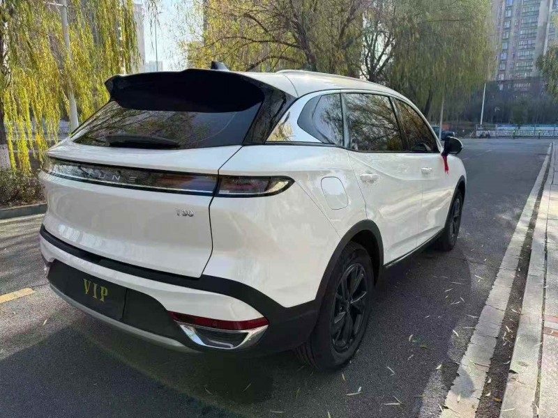 常德25年奔腾T907