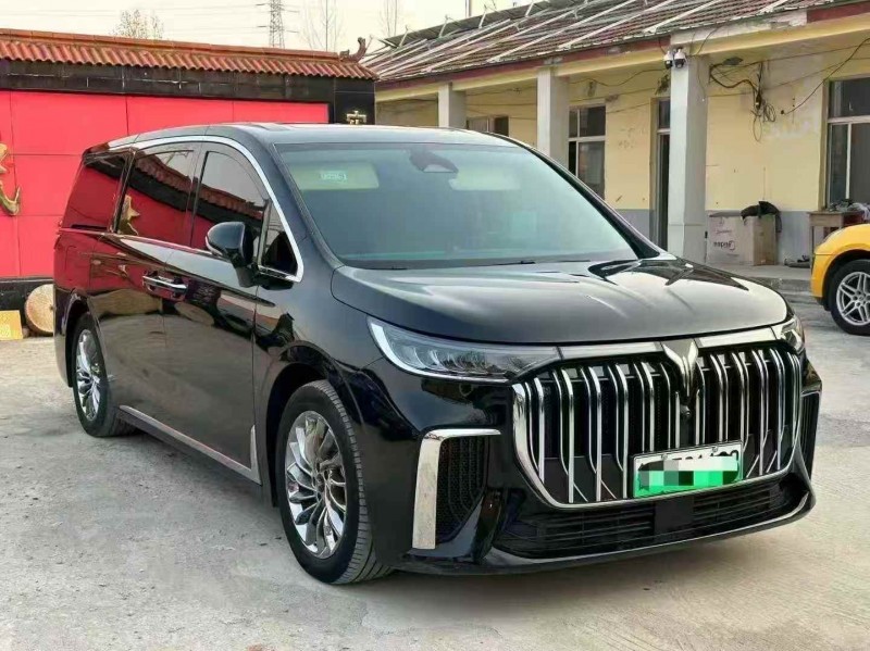 淄博24年岚图汽车梦想家3