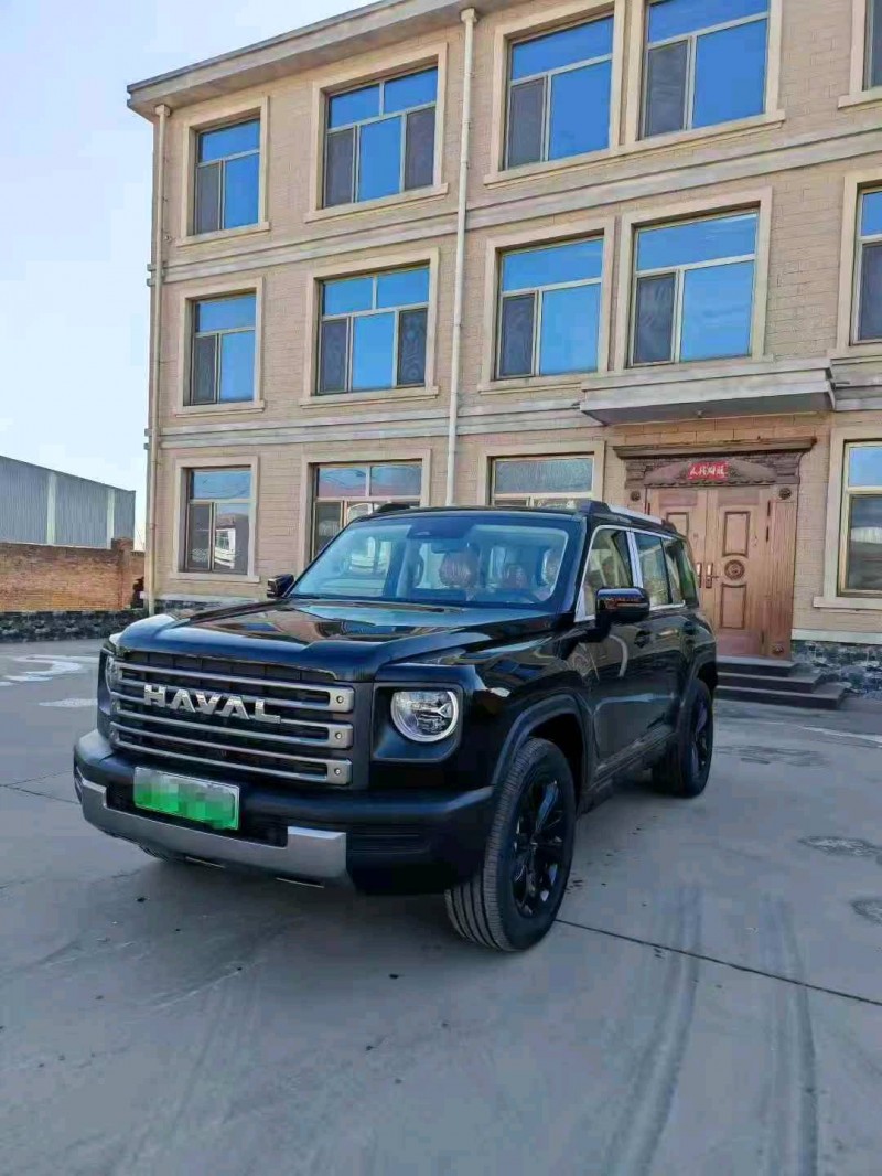 秦皇岛25年哈弗猛龙HI42