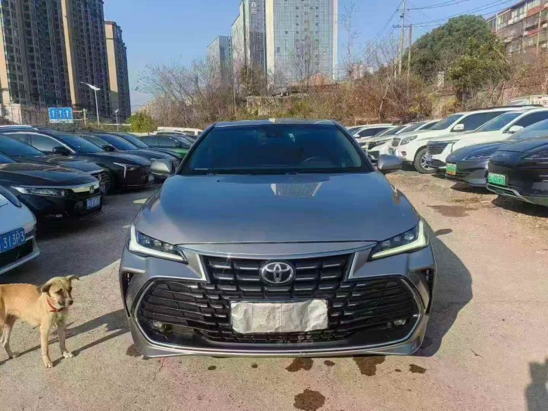 湘潭22年丰田亚洲龙1