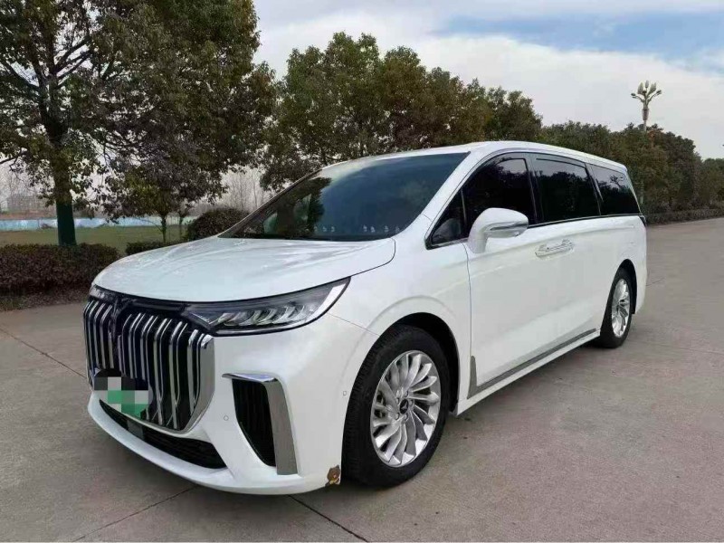 南通24年岚图汽车梦想家2