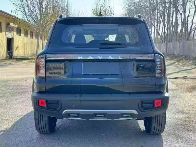 邯郸25年哈弗大狗9