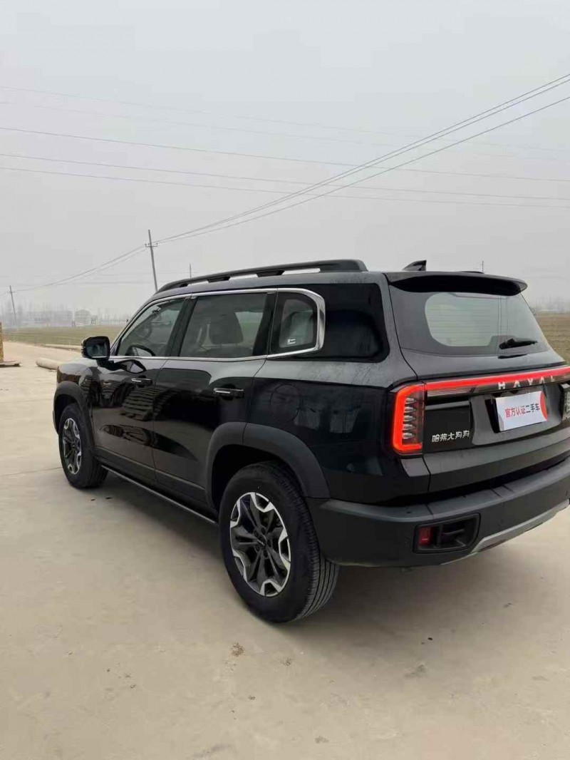 枣庄23年哈弗大狗8