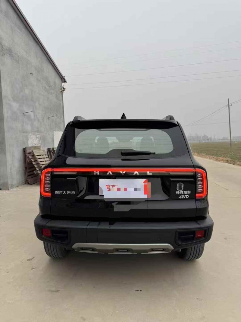 枣庄23年哈弗大狗9