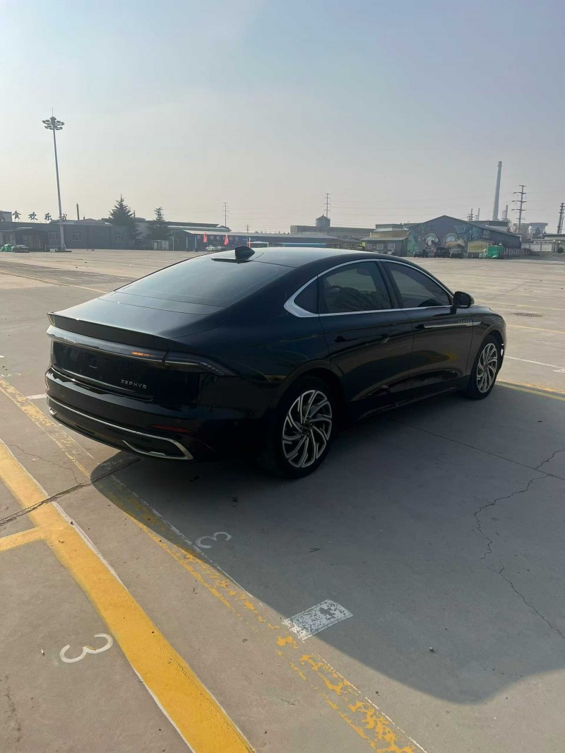 威海23年林肯ZI享8