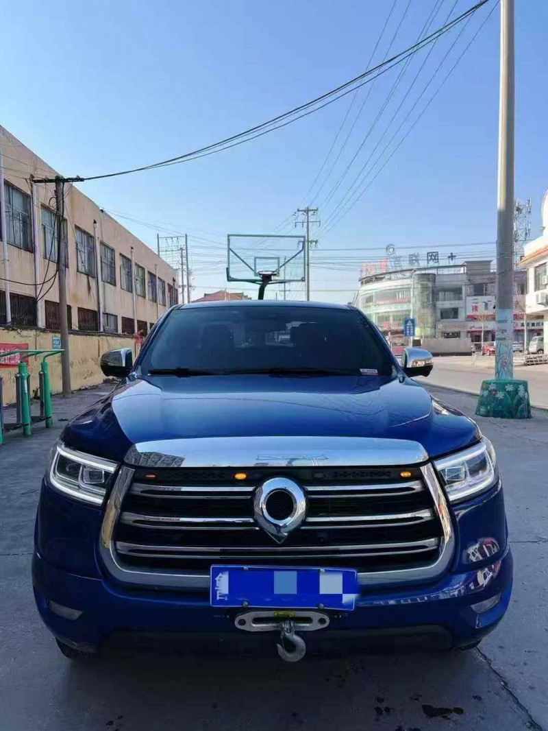 潍坊20年长城汽车炮 皮卡1