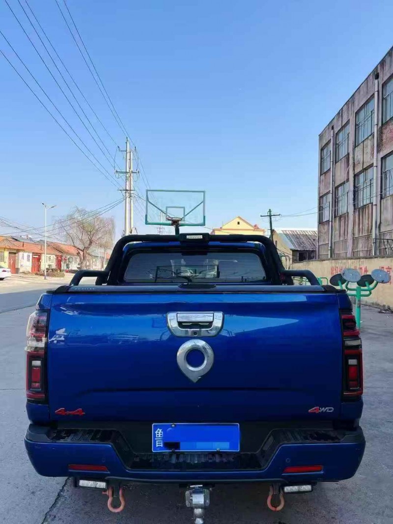 潍坊20年长城汽车炮 皮卡5