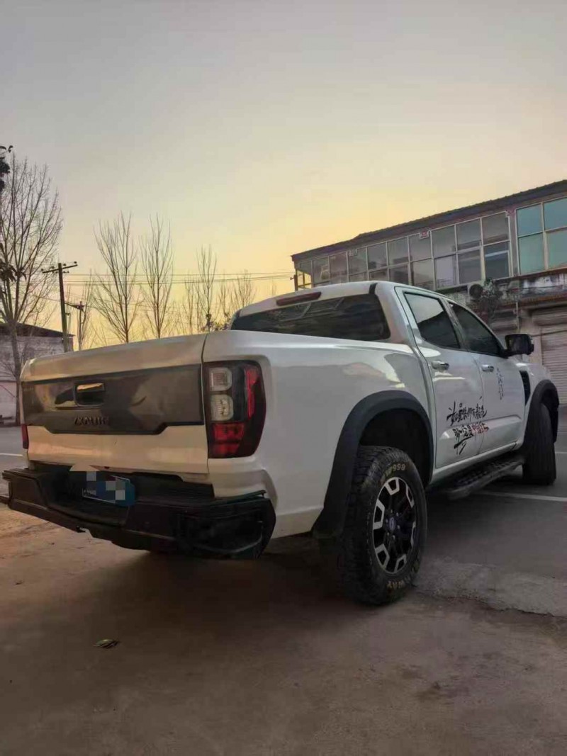 菏泽23年中兴威狮9